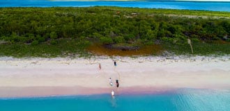 barbuda plage vierge de pink sandy beach