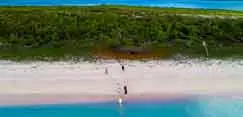 barbuda plage vierge de pink sandy beach