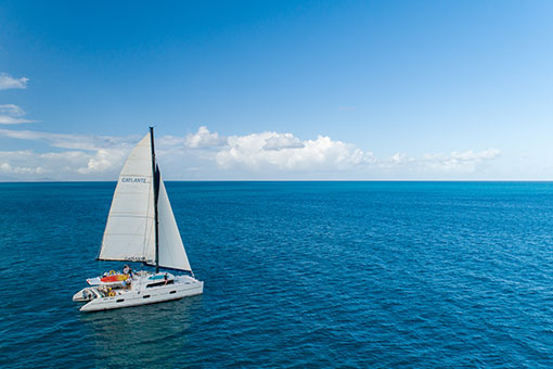 5 provence, les calanques de cassis en catamaran.jpg 