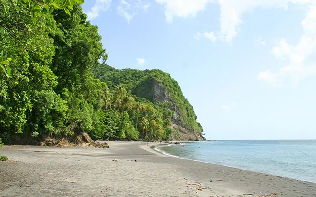 JOUR 6 MARTINIQUE anse couleuvre 86422504 sh