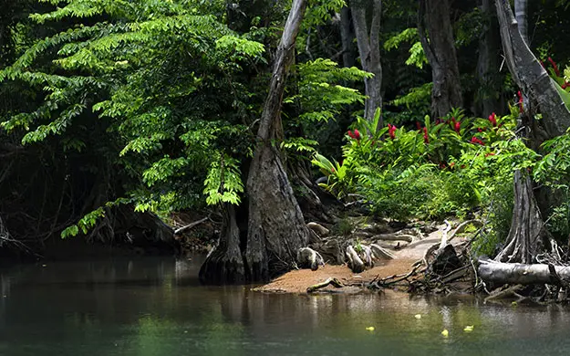 2 guadeloupe plage de marie galante