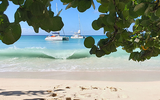 7 martinique anse d arlet